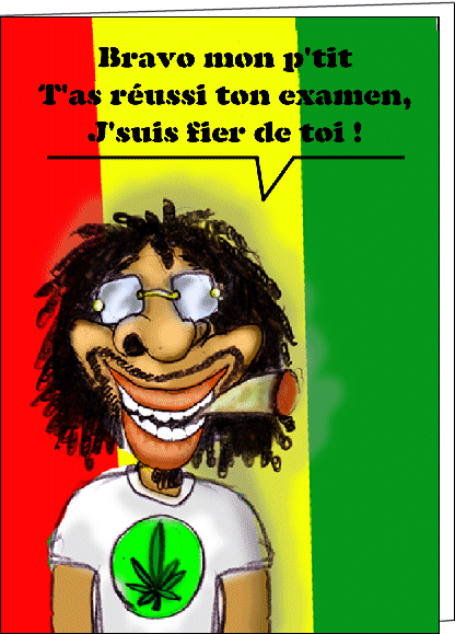 le brevet reussi!!!!!!!!!!