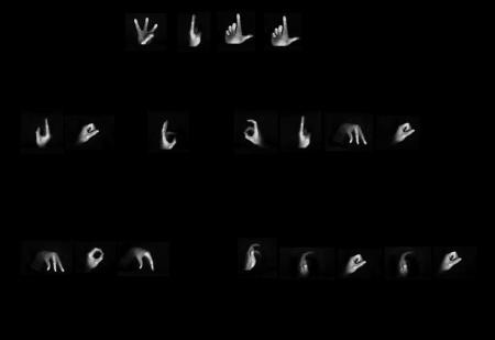 wil_l